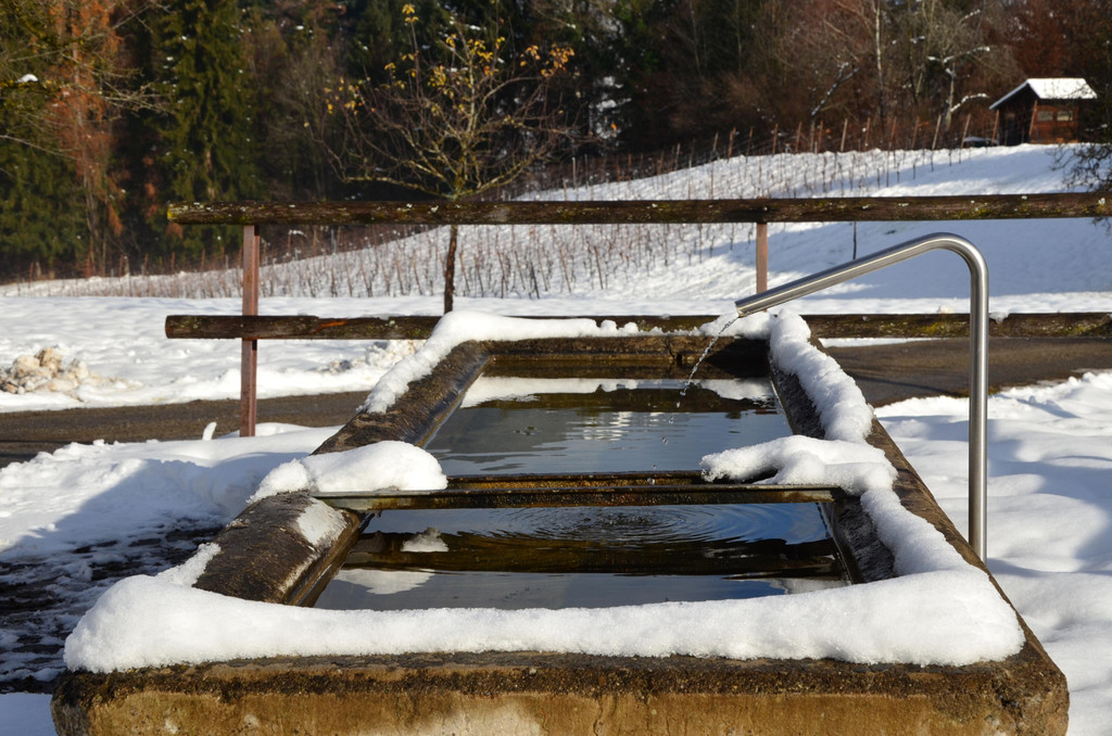 Winter 011221_3.JPG