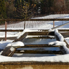 Winter 011221_3.JPG