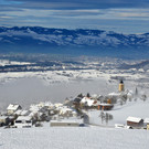 Winter 011221_5.JPG