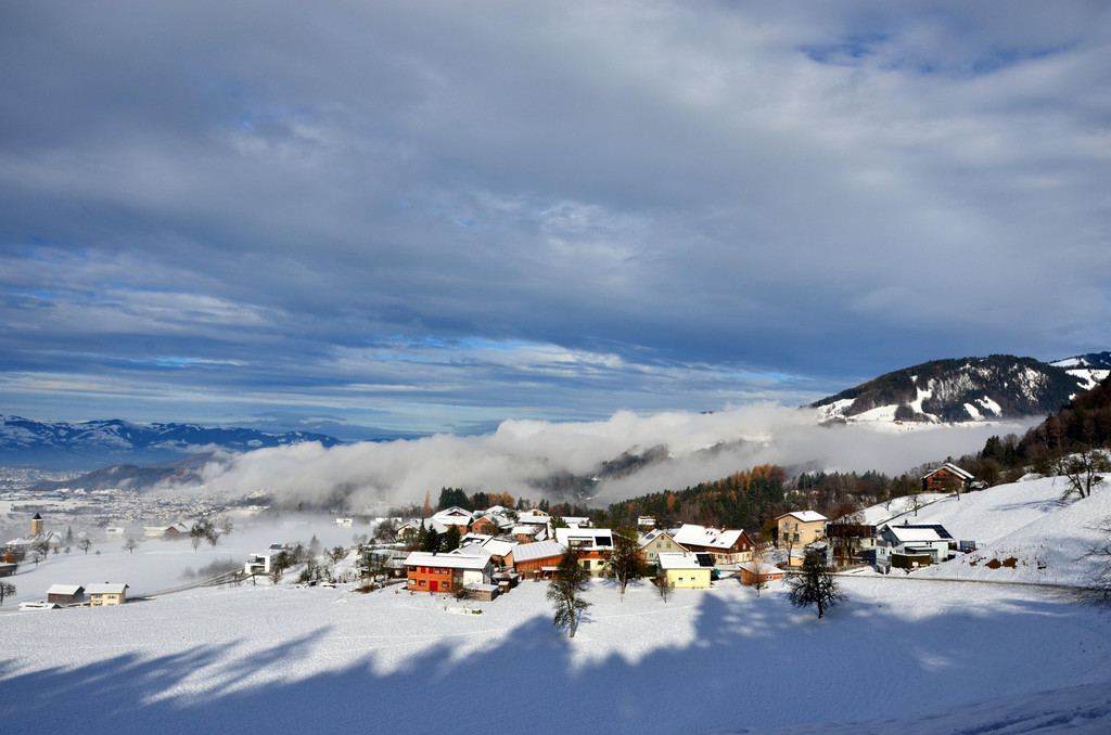 Winter 011221_6.JPG