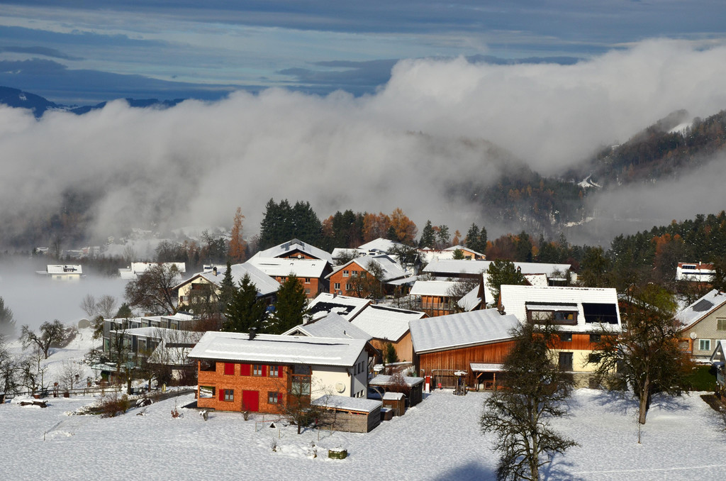 Winter 011221_7.JPG