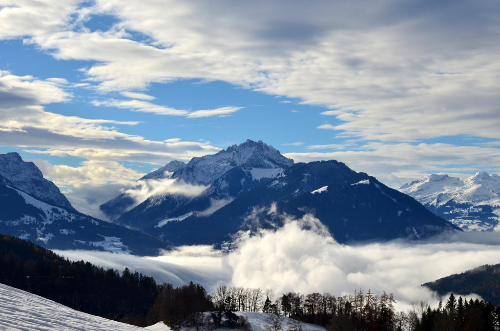 Winter 011221_12.JPG