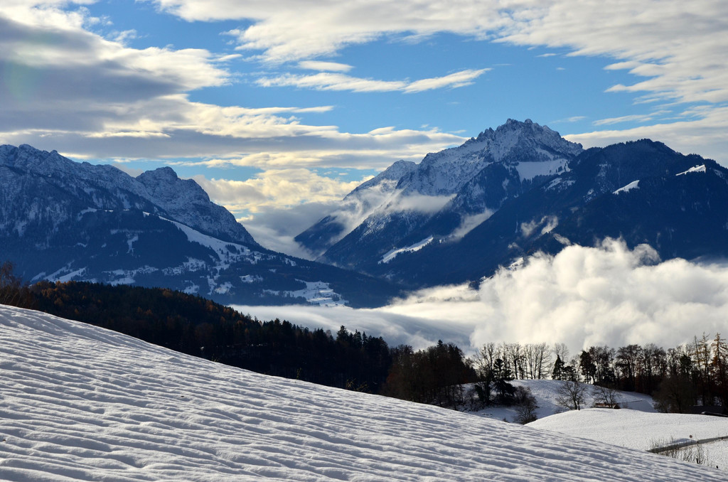 Winter 011221_14.JPG