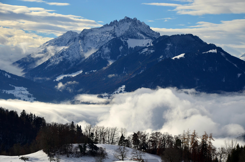 Winter 011221_16.JPG