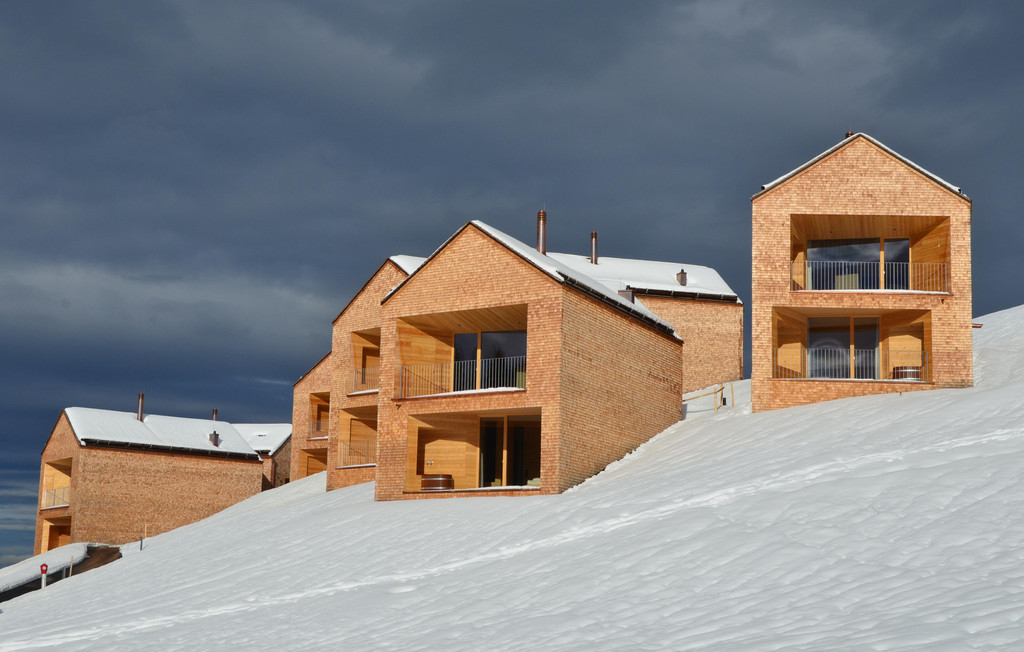 Winter 011221_18.JPG