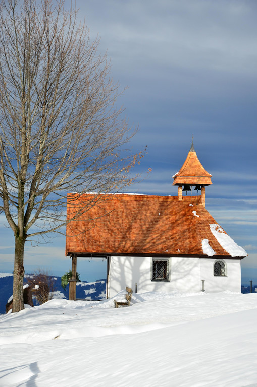 Winter 011221_19.JPG