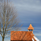 Winter 011221_19.JPG