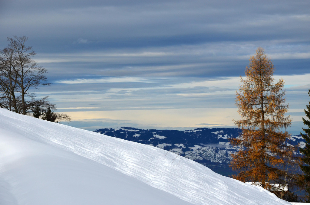 Winter 011221_20.JPG