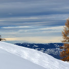 Winter 011221_20.JPG