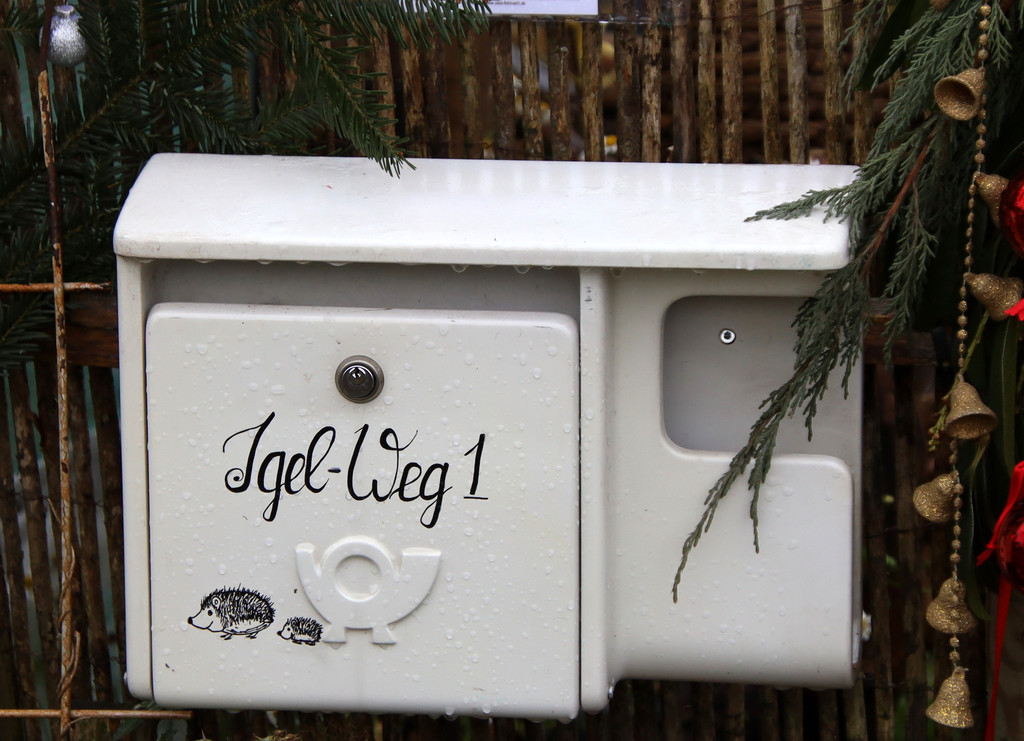 igel _26_.JPG