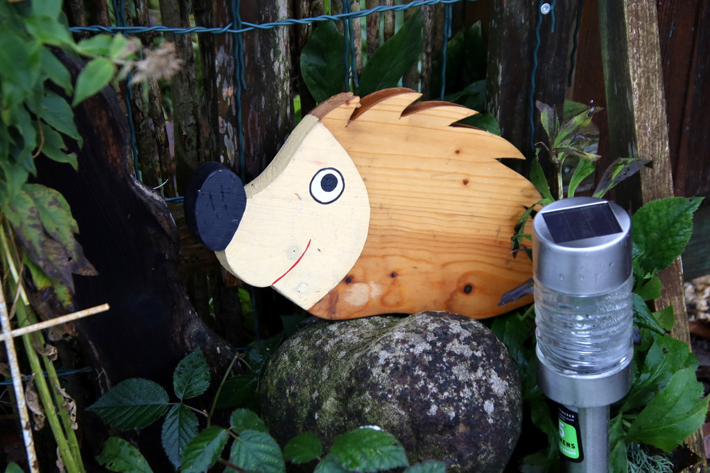 igel _32_.JPG