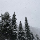IMG_1823.JPG