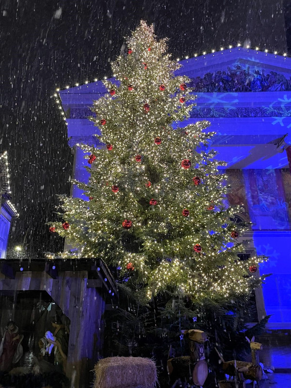 Baum-Weihnachtsmarkt 21 - 2.jpg