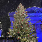 Baum-Weihnachtsmarkt 21 - 2.jpg