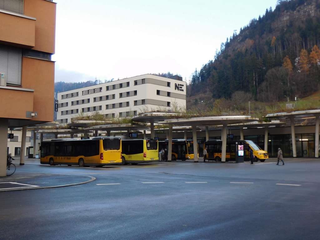 DSCI7023.JPG