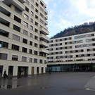DSCI7028.JPG