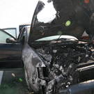 27082009pkwbrandff_23.jpg
