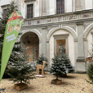 IMG_1897.JPG