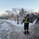 Feuerwehr barg Lkws in NÖ