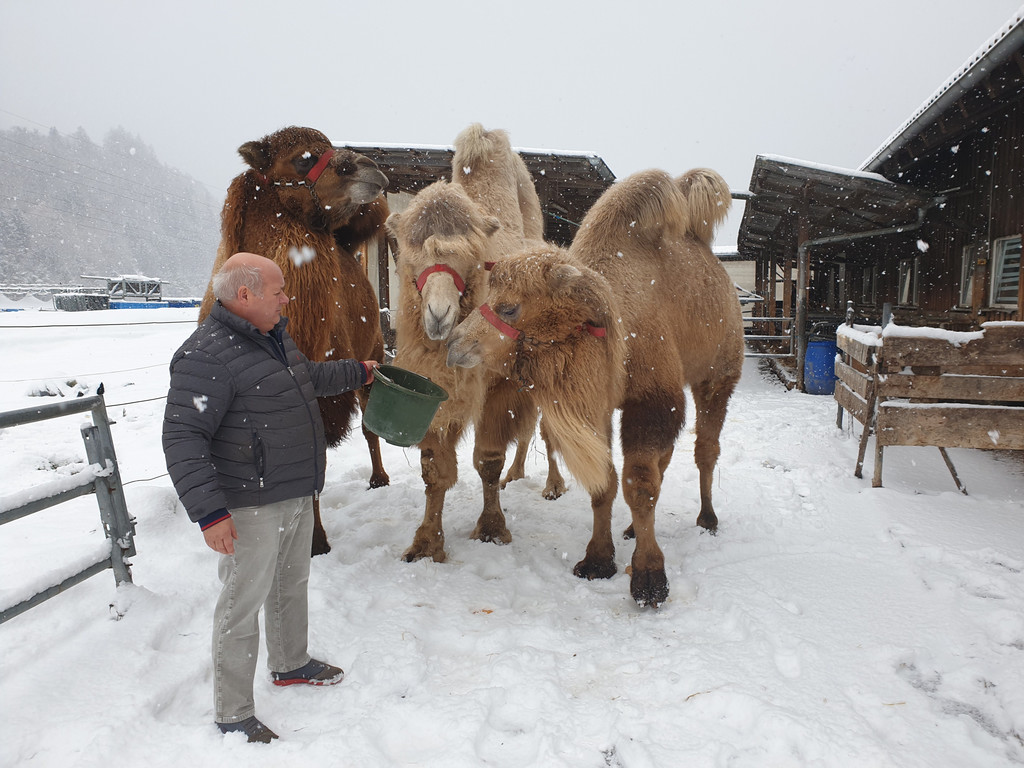 Zirkus7.jpg