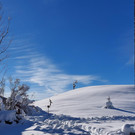 Winter 121221_2.jpg