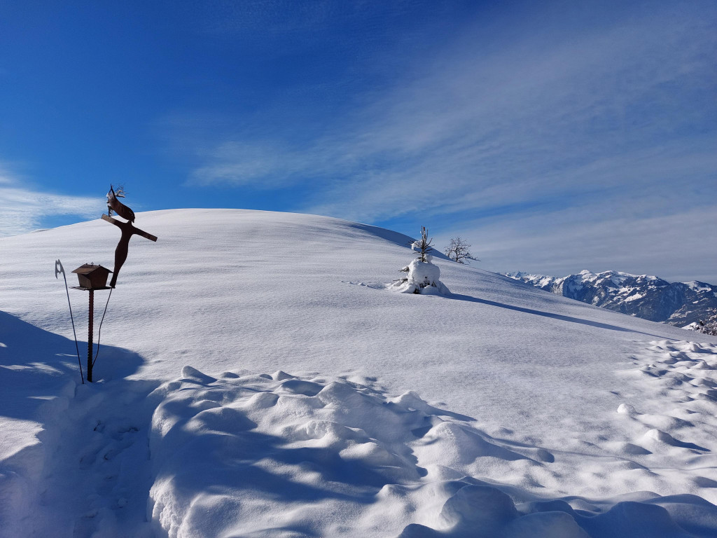 Winter 121221_3.jpg