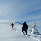 Winter 121221_5.jpg