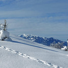 Winter 121221_7.jpg