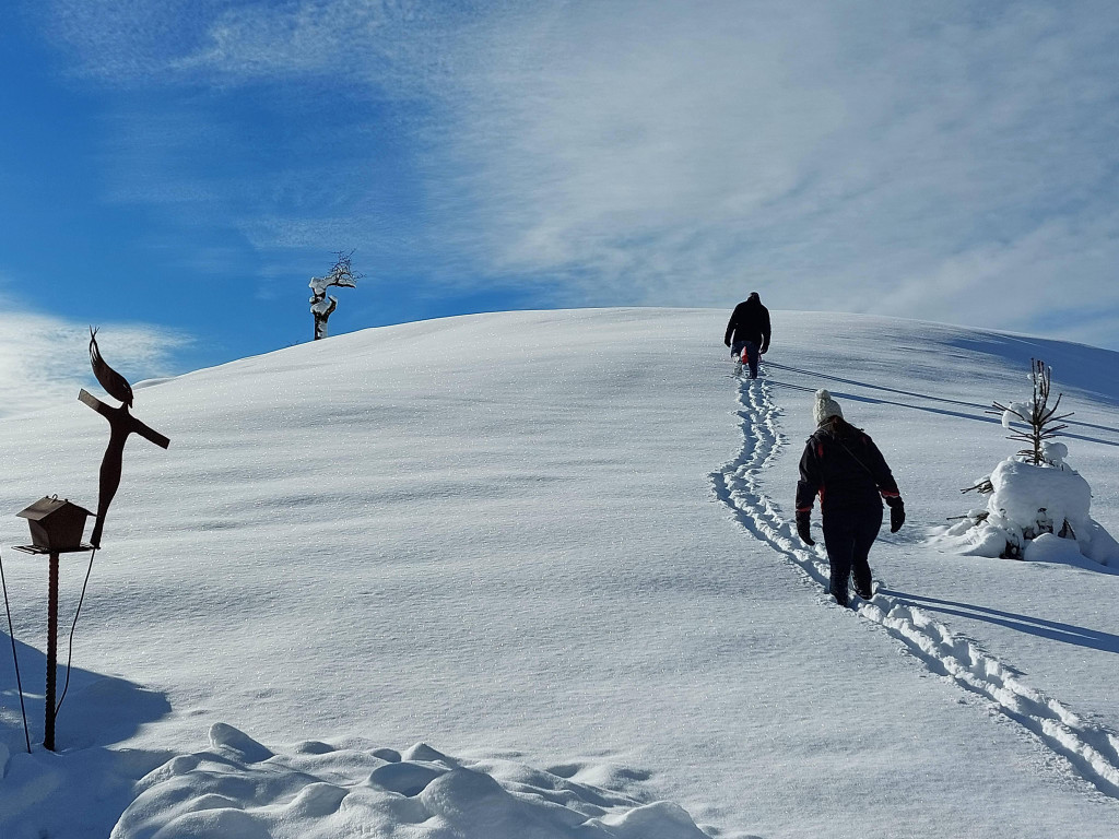 Winter 121221_9.jpg