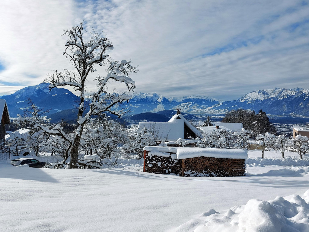 Winter 121221_11.jpg