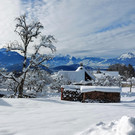Winter 121221_11.jpg