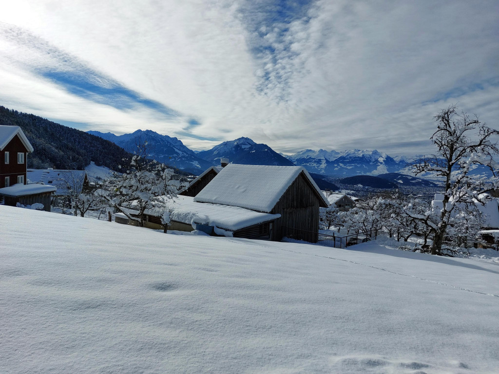 Winter 121221_12.jpg