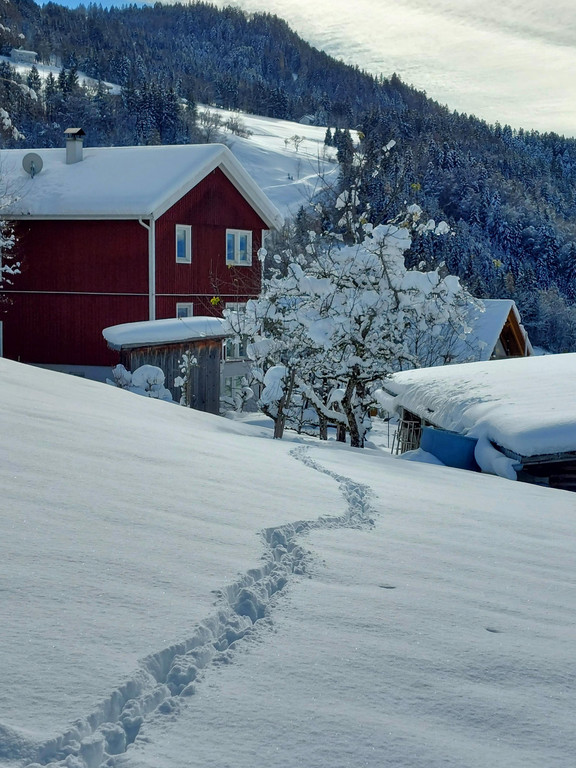 Winter 121221_13.jpg