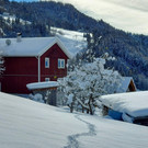 Winter 121221_13.jpg