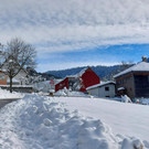Winter 121221_14.jpg