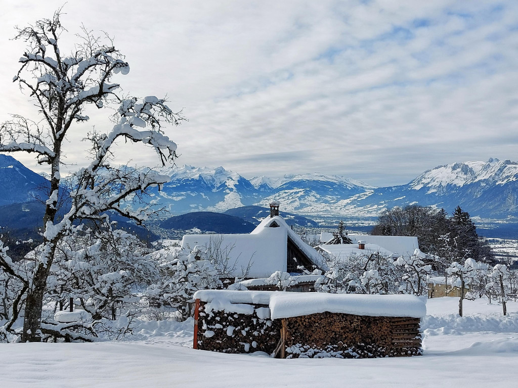 Winter 121221_15.jpg
