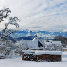 Winter 121221_15.jpg