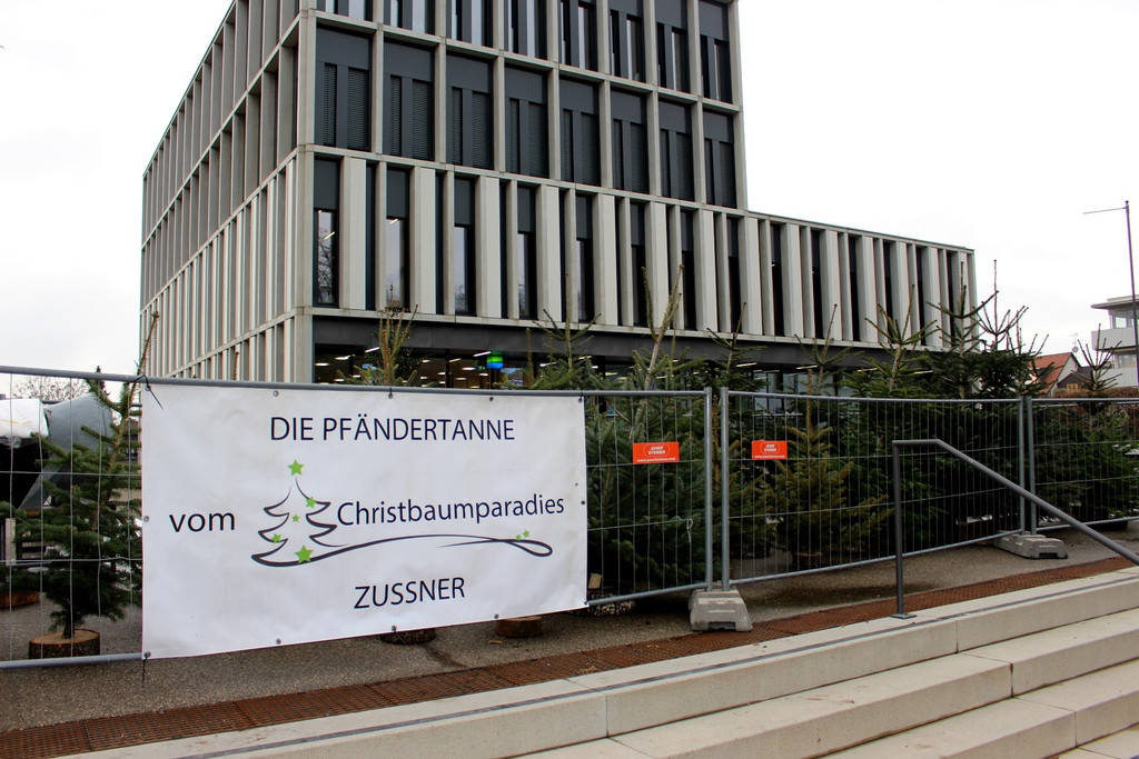 Lochau Zu__ner CHRISTBAUMVERKAUF Advent Dezember 2021 _3_.JPG