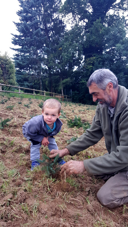 Lochau Zu__ner CHRISTBAUMVERKAUF Advent Dezember 2021 _10_ PLANTAGE.jpg