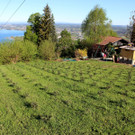 Lochau Zu__ner CHRISTBAUMVERKAUF Advent Dezember 2021 _13_ PLANTAGE.JPG