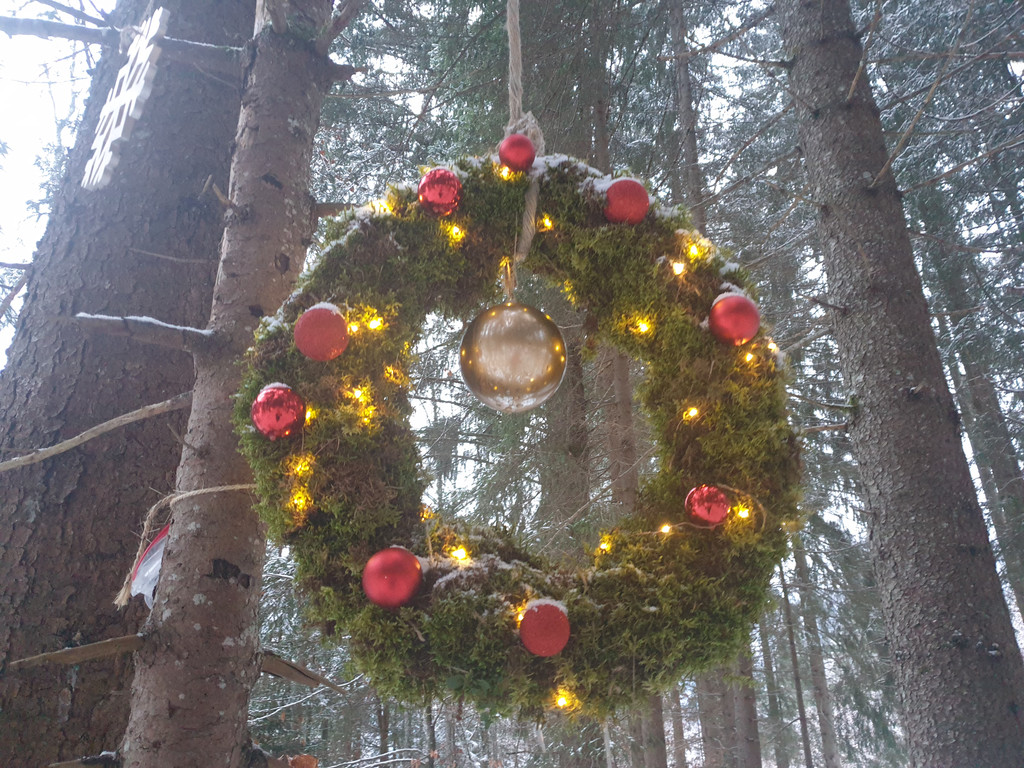 Advent7.jpg