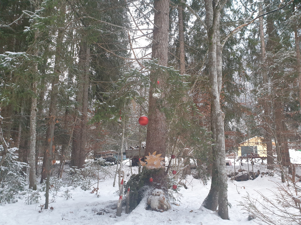 Advent9.jpg