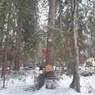 Advent9.jpg