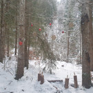 Advent12.jpg