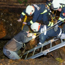 20211214SchnifisTierrettung-008.jpg