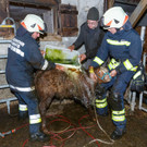 20211214SchnifisTierrettung-017.jpg