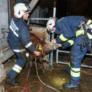 20211214SchnifisTierrettung-016.jpg
