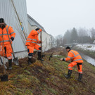 Neue Uferbepflanzung am Grindelkanal 