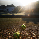 Weihnachtsweg bei Salvatorweg