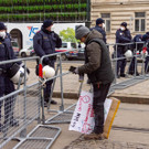 Vienna_at-89.JPG